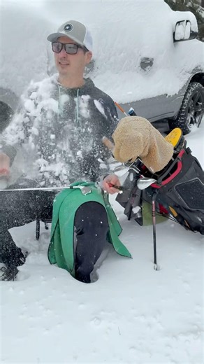 Every Golfer Right Now