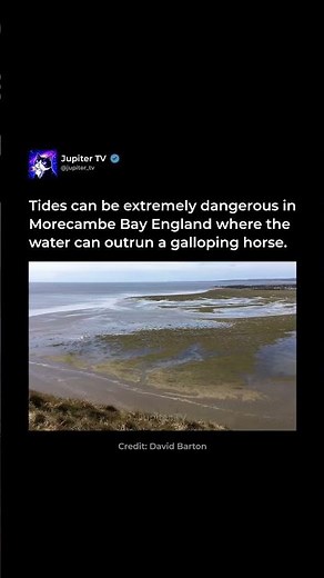 A Tide Faster Than a Horse 🌊