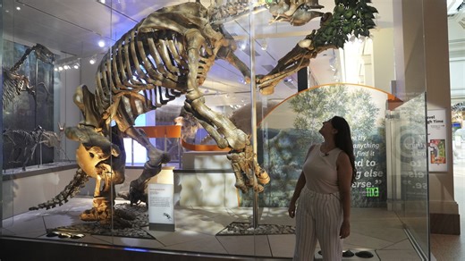 Mega-sloths 'lived alongside humans for 10,000yrs…& their bones used as jewels'