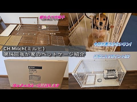 第14回我が家のサークル紹介。リッチェルペットケージ1200開封動画 #ダックスフンド #カニンヘンダックス #子犬 #ミニチュアダックス #ペットケージ #犬のいる暮らし