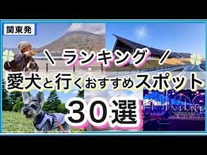 [Save this] Go with your dog! A carefully selected list of the best places to visit ☆ 30 recommen...