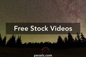 Pine Trees Videos, Download The BEST Free 4k Stock Video Footage & Pine Trees HD Video Clips