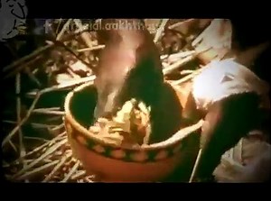 PeopLive Unbelievable Giant Snake Eating Man's Leg