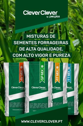 Sementes forrageiras Clever Clover by Pecplus | Clever Clover