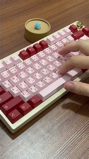 Soundtest switch Akko V5 Pro Cream Blue | QK-75 #dodostudio #soundtest #switchbanphim