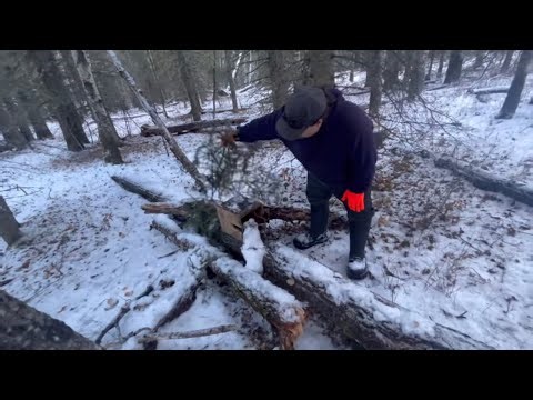 Canadian Trapline Diaries Part 10 CRAZY CATCH !!