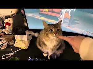 Why play computer when you have me