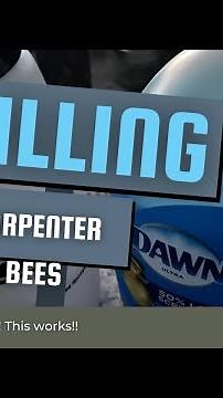Yellow Jacket & Ground Bee Removal — Safe Method Without Chemicals