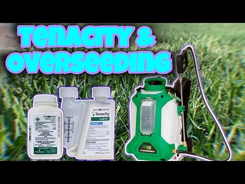 Tenacity Herbicide // Pre & Post Emergent (safe for MOST grass types)