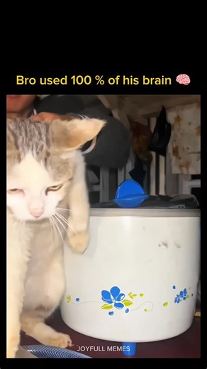 Joyfull Memes on Instagram: "Wait for end !! "