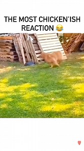 RETRO MUSIC BOX by DJ DEVA on Reels