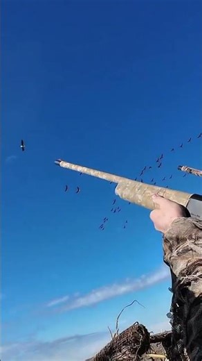 Epic Flying Goose Shot | Hunting Shorts #geesehunting #shotgunhunting #huntingseason #huntinglife