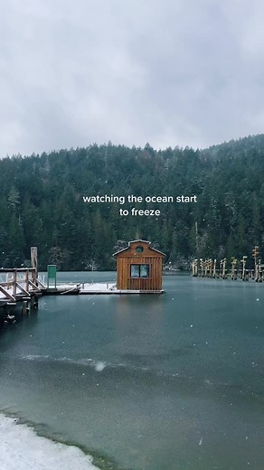 Witnessing the Rare Phenomenon of the Ocean Freezing