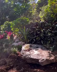 14K views · 448 reactions | Welcome to the newest crystal to land at the Crystal Castle! This giant Uruguayan rock is filled with extraordinary formations of Lavender Druzy Quartz, Amethyst, and more... You can find this special piece nestled in our gardens next to the Dragon Egg. | Crystal Castle | Facebook