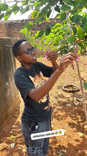 Celebrate Graduation with Unique Christmas Tree Ideas