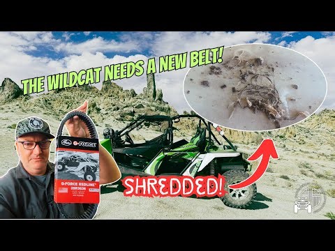 CVT Drive Belt Replacement - 2014 Arctic Cat Wildcat 4X - Wildcat 1000X - DIY & How To