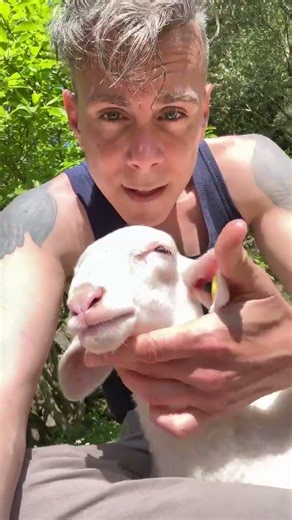 Live Q&A next Sunday ( May 3rd) 18:00-CET - on IG!