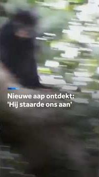 Starende apensoort ontdekt