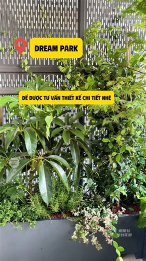 🪴🪴🪴Với những ban công có gờ, giải pháp chậu chữ L chính là lựa chọn hoàn hảo để tận dụng tối đa diện tích mà vẫn đảm bảo thẩm mỹ. Chậu được thiết kế ôm sát gờ, gác chắc chắn và tạo cảm giác liền mạch với lan can, giúp không gian trở nên gọn gàng và hiện đại hơn. Khi trồng thêm những mảng xanh tươi mát, ban công như khoác lên mình một diện mạo mới — vừa tự nhiên, vừa sang trọng. 🌿 Nếu bạn cũng muốn sở hữu một góc ban công xanh mướt và tinh tế như vậy, hãy inbox ngay Dream Park để được tư vấn 