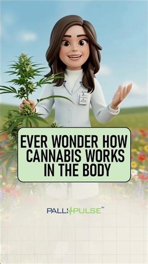 Ever Wonder How Cannabis Works in the Body?
