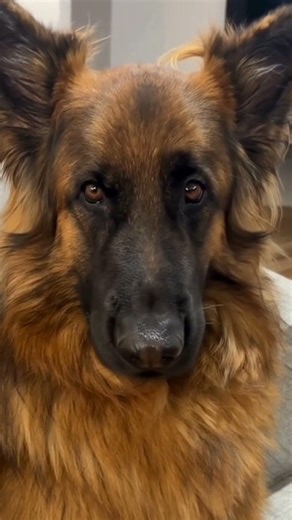 GS Goodwill Hunting Motivation #gs