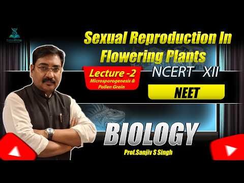 Microsporogenesis & Pollen Grain | Lecture 2 | Class XII Biology | NEET | Prof. Sanjiv S Singh #neet