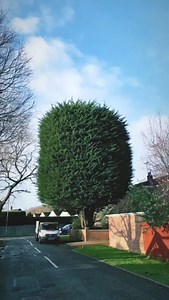 Established in 1996, @Alpine Tree Surgeons can offer you years of tree management and landscape maintenance expertise. Covering Hampshire, the fully qualified, friendly team can carry out all aspects of tree service for your property, including a 24 hour call out service! Contact Alpine Tree Surgeons today on 01730 821277 | 07836 339664 or email alpinetreesurgeons@yahoo.co.uk. For more information on their services you can visit www.alpinetreesurgeons.co.uk | The Directory Group