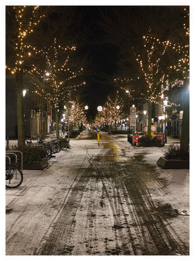 Enjoying a Snowy Morning Commute in the Netherlands