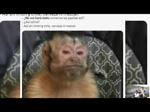 No me ara daño así el meme del changuito || mejores memes