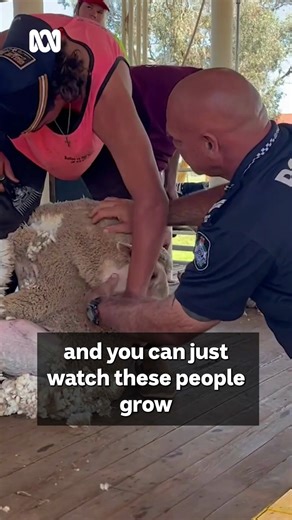 11K views · 116 reactions | Have you heard of Blue Light Shearing...