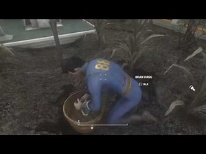 Vault 88 Work in Progress, Hydroponics & Greenhouse - Fallout 4 Gameplay