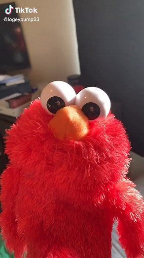 Elmo's Unique Perspective on Similarities