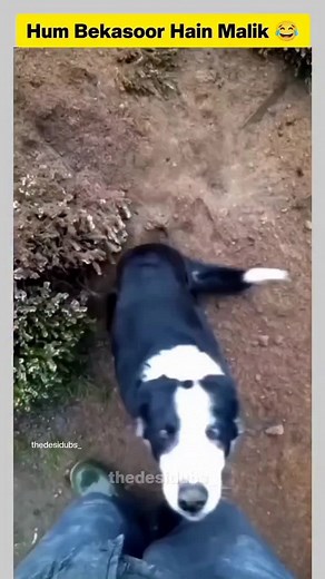 #RelatableMemes #ComedyTok #creatorsearchinsights2025 #LOL