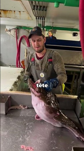 The strangest fish | Norway