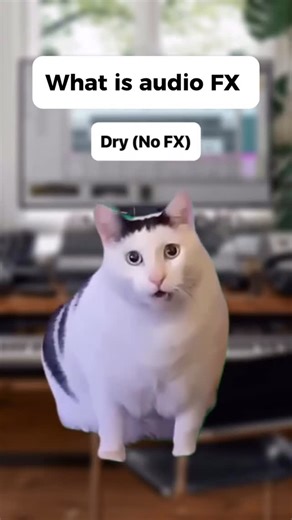 Free Lyric Video on Instagram: "Producers trying to explain audio FX to normal people be like: ‘So basically… the whoosh makes the boom sound bigger.’ 😭🐱 #fyp #flstudio #musicmeme #producertok #explorepage✨ #logicpro #viral #funnymusic"