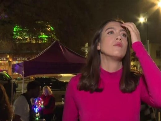 2025 Raleigh Tree Lighting kicks off the holiday season