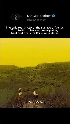 This Is What the Surface of Venus Really Looks Like 😱| #shorts