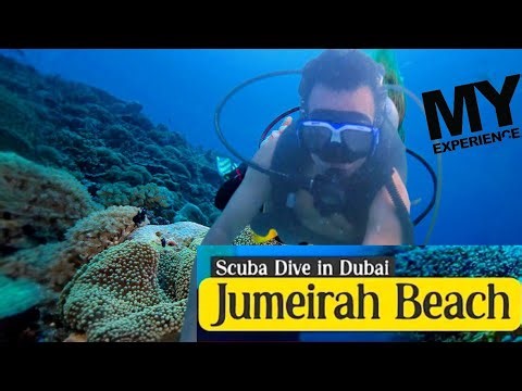 🌊Exploring the Hidden Underwater World of Dubai 🐠 | My Scuba Diving Adventure!