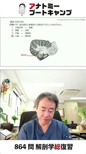 【8-79】脳の部位と神経核との組合せで正しいのはどれか