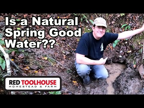 Is a Spring a VIABLE Water Source for a Farm/Homestead?