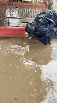 Remove debris clogged drain culvert rain water #unclog #culverts #remove