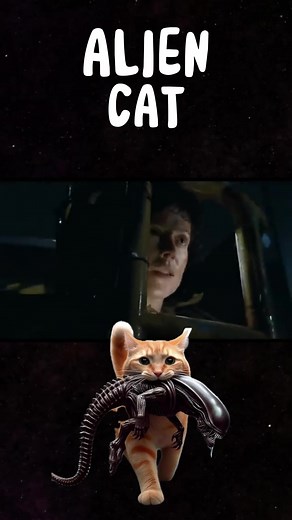 Did you know the “Alien” franchise features a brave little hero who isn’t Ripley? 🐾 Meet Jonesy, the unsung feline star of the sci-fi horror classics! From his first appearance aboard the Nostromo in the 1979 original “Alien,” Jonesy has captured the hearts of fans by surviving terrifying encounters with the Xenomorph. This video dives into Jonesy’s journey, from his memorable moments on screen to the four talented cats that brought him to life. Join us as we celebrate Jonesy’s legacy and explo