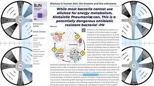 阿洛酮糖allulose 可怕吗 | Pottenger's Human