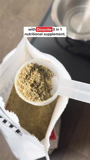 Why have over 1,000,000 pet parents chosen Dinovite? Because it works. Just check the numbers: 🐶 7 canine targeted strains of probiotics 👍 3 vital digestive enzymes ❤️ Omega 3 & Omega 6 fatty acids ✔️ 90 day money back guarantee 👏 Trusted for over 20 years Receive 20% OFF your first purchase with code: DINOVITE20 at checkout. | Dinovite.com