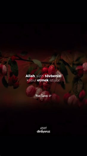 @ayetdinliyoruz on Instagram: "Yüce Allah bu âyette, 26. âyette de geçen “Allah haramları ve helâlleri açıklayarak sizi günahlardan, yanlış yollara gitmekten koruyup affına ve rahmetine yöneltmek diliyor” ifadesini tekrar kullanmak suretiyle her türlü günahı ve yanlış yolları terk ederek iyilik ve güzellik yoluna sülûk etmenin önemine vurgu yapmakta, böyle yaptıkları takdirde kulların tevbelerinin kabule şâyan hâle geldiğini haber vermekte, bir anlamda bütün insanlara sam