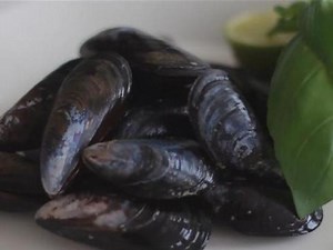 How to Wash Shellfish - video Dailymotion