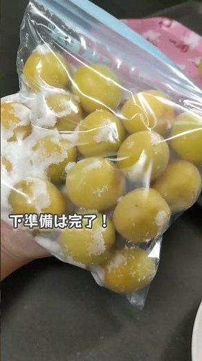 完熟梅でさしす梅/白梅干しの作り方、仕込み編！#shorts #梅仕事#梅干しの作り方#さしす梅#白梅干し