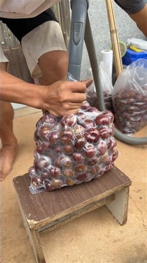Creative Food Preservation: Vacuum-Sealing Large Fruit Bags Using a Standard Vacuum Cleaner