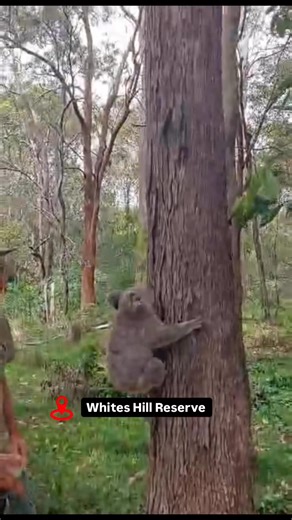 49K views · 2.4K reactions | ⚽️ Remember Emma from the soccer net? ...