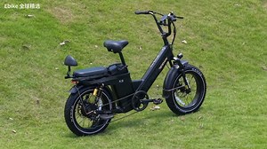 TESWAY-长续航！可以骑行200 英里货运ebike